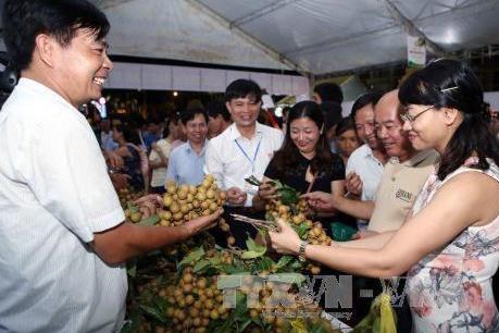 Hưng Yên xúc tiến tiêu thụ nhãn lồng