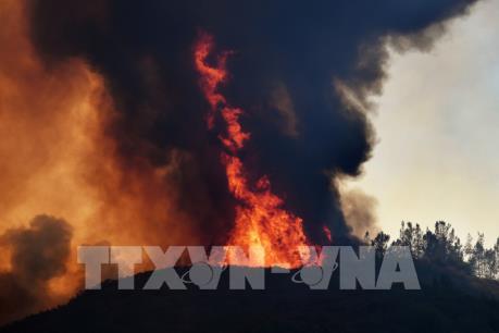 Mỹ tuyên bố cháy rừng tại California là "thảm họa nghiêm trọng"