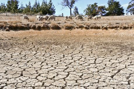Australia đối mặt với hạn hán nghiêm trọng nhất trong vài chục năm lại đây
