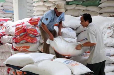 Doanh nghiệp Trung Quốc tìm mua gạo: Nên mừng hay lo?