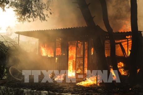 Hy Lạp cách chức người đứng đầu lực lượng PCCC và cảnh sát sau thảm họa cháy rừng