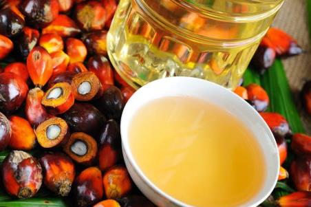 Tận dụng SAFTA để tránh thuế nhập khẩu dầu ăn của Ấn Độ