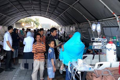  Chưa có thông tin về công dân Việt Nam bị ảnh hưởng bởi động đất tại Indonesia