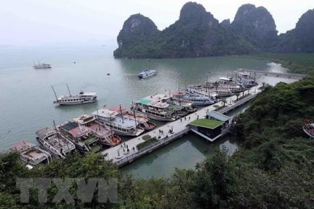 Vụ xô xát tại bến tàu du lịch vịnh Hạ Long: Đình chỉ hoạt động của Thuyền trưởng