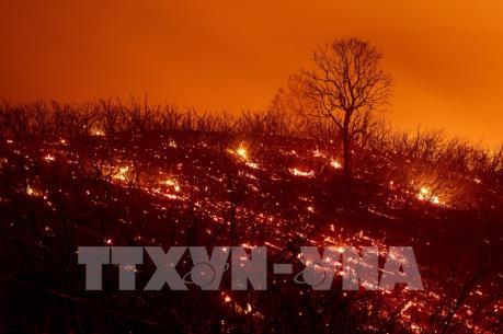 Vụ cháy rừng lớn nhất lịch sử bang California, Mỹ