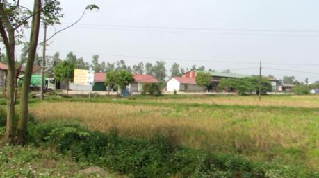 Phó Thủ tướng Trương Hoà Bình chỉ đạo giải quyết lại khiếu nại về đất đai của công dân