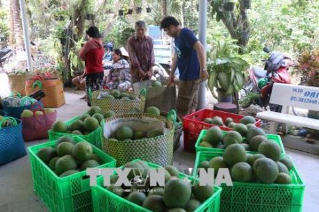 Chỉ dẫn địa lý của Việt Nam: Chưa khai thác hết tiềm năng của nông sản Việt