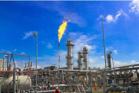 GAS tạm ứng cổ tức 20%