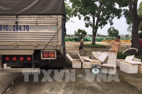 Phát hiện 250kg thịt gà bốc mùi ôi thiu đang trên đường đi tiêu thụ