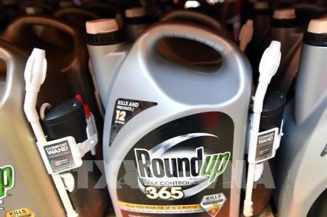 Monsanto buộc phải trả hơn 2 tỷ USD cho một cặp vợ chồng mắc ung thư