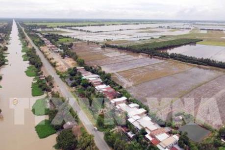 Cảnh báo nguy cơ ngập úng vùng trũng thấp ở An Giang, Đồng Tháp, Long An