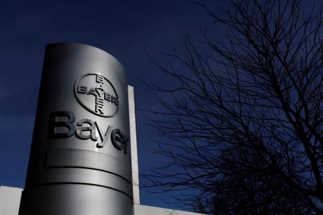 Tập đoàn Bayer lên tiếng sau phán quyết của tòa án Mỹ