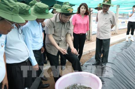 Phát triển nông nghiệp công nghệ cao trên các sản phẩm nông sản có sẵn