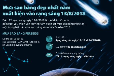 Mưa sao băng đẹp nhất năm xuất hiện lúc nào?