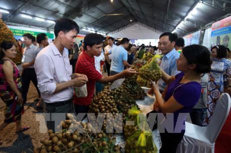 Hưng Yên lần thứ hai tổ chức Lễ hội nhãn lồng