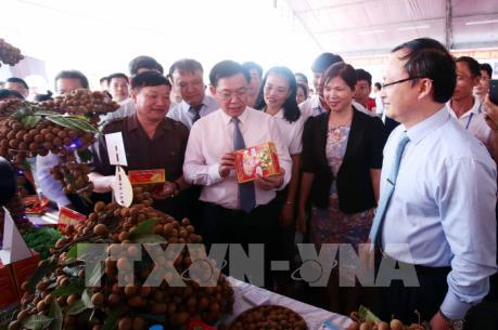 Phó Thủ tướng Vương Đình Huệ: Hưng Yên cần quy hoạch vùng sản xuất nhãn hợp lý