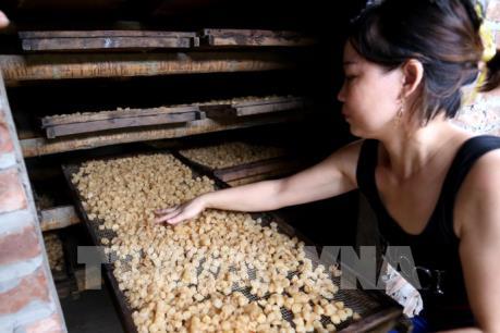 Thăm làng nghề chế biến long nhãn ở thành phố Hưng Yên