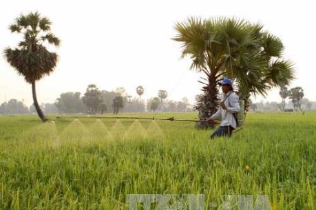 Đề xuất phân lại vùng kinh tế theo phương án nào là hợp lý?