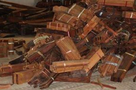 Xử sơ thẩm vụ buôn lậu gỗ trắc lần thứ 4 sau 3 lần trả hồ sơ điều tra bổ sung