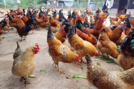 Quảng Ninh lần đầu tiên tổ chức lễ hội ẩm thực sản phẩm OCOP