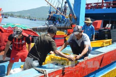 Hỗ trợ ngư dân di chuyển phương tiện để  thi công Cảng cá Tam Quang