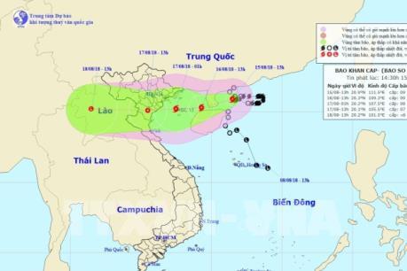 Ứng phó với bão số 4: Thái Bình cấm tàu thuyền ra khơi và hoãn các cuộc họp