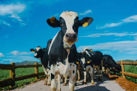 Vinamilk chốt quyền trả cổ tức tỷ lệ 20%