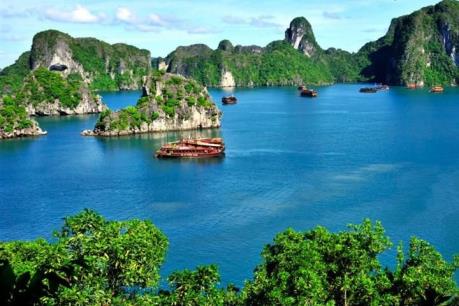 Tàu du lịch Trang Linh bị chấm dứt hoạt động trên vịnh Hạ Long