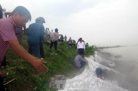 Bảo vệ đê điều và sản xuất nông nghiệp chống bão số 4