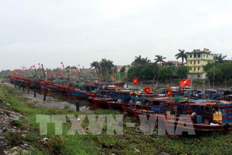 Thái Bình di dời người dân tránh bão số 4 và thủy diện xả lũ