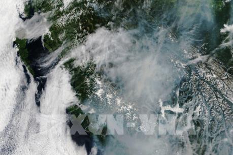 Canada ban bố tình trạng khẩn cấp do cháy rừng