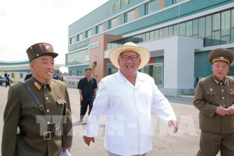 Báo Triều Tiên: Mỹ có trách nhiệm và nghĩa vụ tuyên bố kết thúc chiến tranh