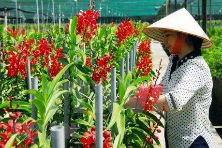 Hà Nam: Dư nợ cho vay nông nghiệp công nghệ cao đạt hơn 308,8 tỷ đồng