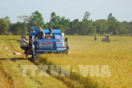 Sắp diễn ra Diễn đàn Mekong Connect 2021 tại Tp. Hồ Chí Minh