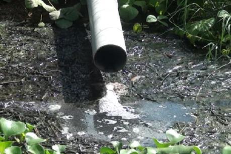 Phát hiện cơ sở giết mổ gia súc xả nước thải chưa qua xử lý