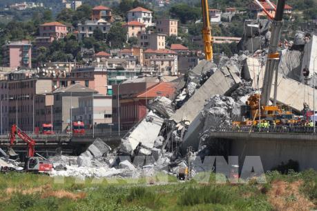 Vụ sập cầu cạn tại Italy: Nhà thầu sẽ thu hồi giấy phép thầu trên cả nước