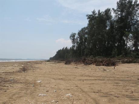 Tình trạng biển xâm thực tại Thanh Hóa ngày càng nhanh và nghiêm trọng