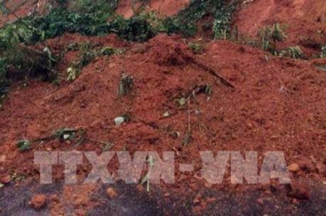 Nghệ An: Nhiều tuyến đường ở miền núi bị ách tắc do ngập nước