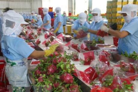 Để quan hệ thương mại Việt Nam-Ấn Độ tiến xa