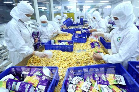 Xuất khẩu nông sản vào EU - Bài 1: Nhiều rào cản