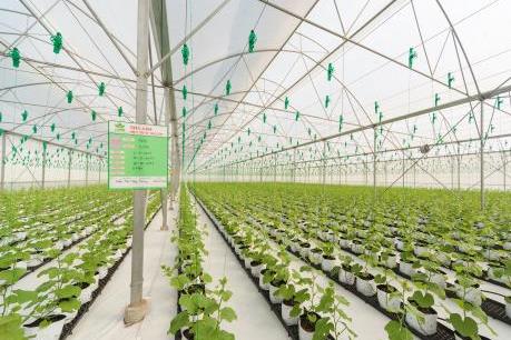 The PAN Group dự kiến phát hành riêng lẻ 11% cho Tập đoàn Sojitz