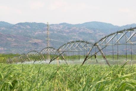 Đầu tư Thành Thành Công đăng ký mua 16 triệu cổ phiếu SBT