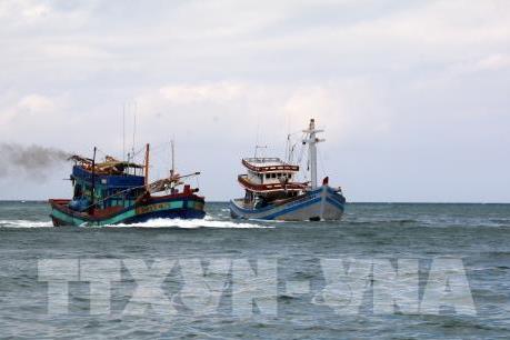 Đã xác minh thông tin tàu Hải Dương 19 đâm chìm tàu cá Bình Thuận