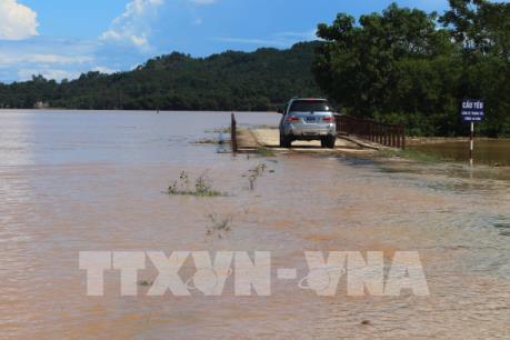 Nghệ An: Nhiều diện tích cây trồng bị ngập sâu