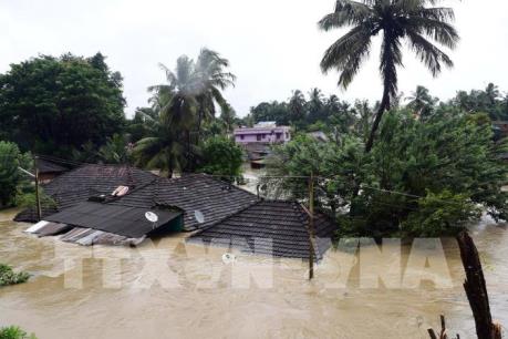 Ấn Độ từ chối khoản viện trợ 100 triệu USD