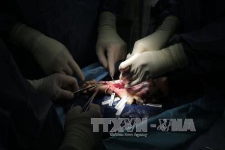 Nhiều nguy cơ lây nhiễm HIV từ dịch vụ làm đẹp không an toàn