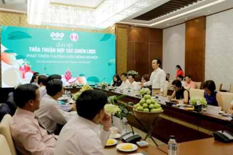 FLC giới thiệu xoài Cao Lãnh trên các chuyến bay của Bamboo Airways