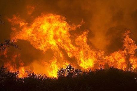 Chưa thể đẩy lùi đám cháy rừng tại Brandenburg, Đức