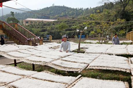 Xây dựng thương hiệu Miến dong Bình Liêu