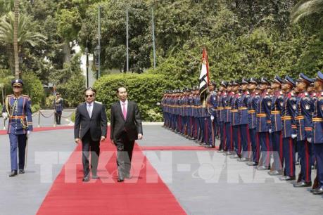 Chủ tịch nước Trần Đại Quang hội đàm với Tổng thống Ai Cập Abdel Fattah Al Sisi